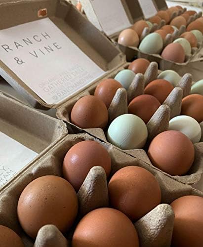 Реколта Празни кутии от яйца - Класически стил 3x4 Настанява гости в 12 Големи яйца, Здрава конструкция изработени