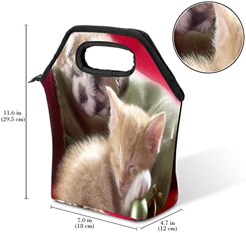 Дамски Чанта за обяд GUEROTKR, Кутия за Обяд за мъже, Дамски Кутия за Обяд, с изображение на животно котка