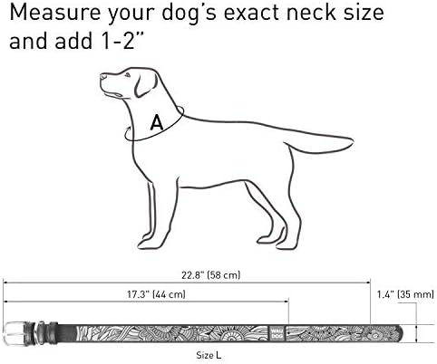 Кожена яка WAUDOG Design за Кученца от Малки, Средни и Големи кучета Авокадо - Кожена яка за момчета и Момичета