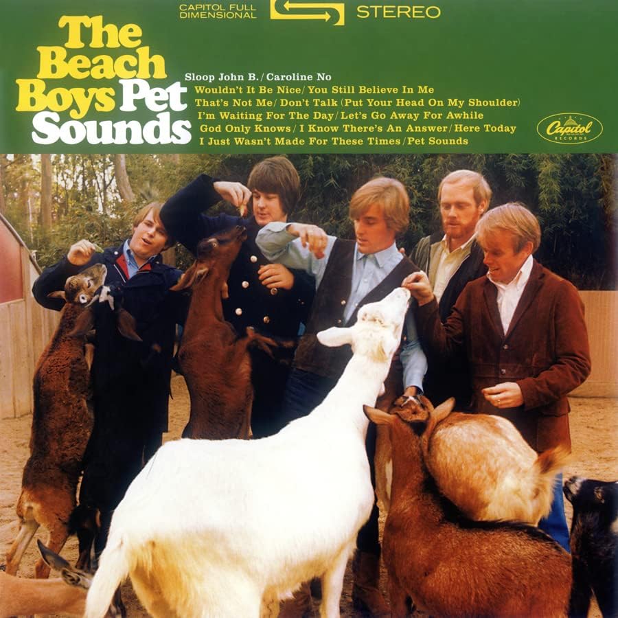 Обложката на албума Vinylz Art - The Beach Boys - Звуци на домашни любимци (1966) Плакат на албума 24 x 24