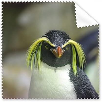 Морска Наука за Природата Антарктически Пингвин на Изображението Плат За Почистване на Екрана на Телефона за