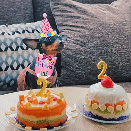 Аксесоари за парти в чест на рождения Ден на кучета, колекция от Шапки-Bandhan за рождения Ден на Кучета, Дрешки