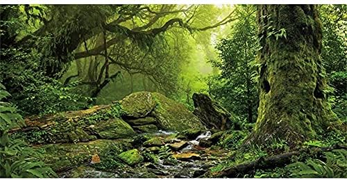 Удивителен Фон на Терариума за Тропическите Гори Зелен Поток Огромно Дърво на Фон на околната Среда на Влечуги
